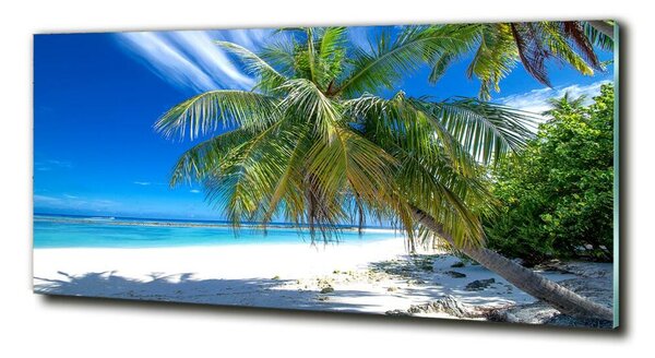 Tablou Printat Pe Sticlă plaja tropicala
