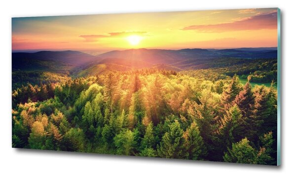 Fotografie imprimată pe sticlă apus de soare Forest