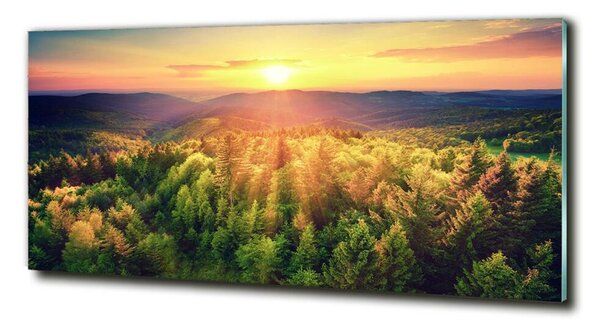 Fotografie imprimată pe sticlă apus de soare Forest