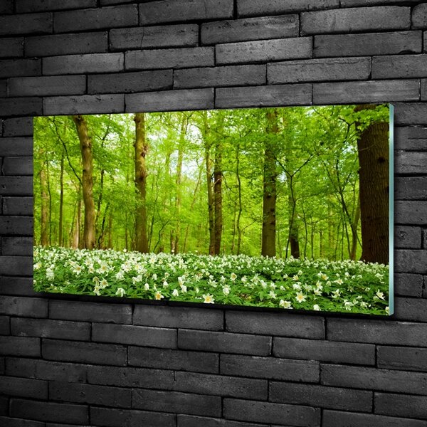 Tablou Printat Pe Sticlă Flori în pădure