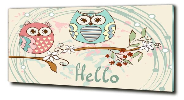Tablou din Sticlă Owls