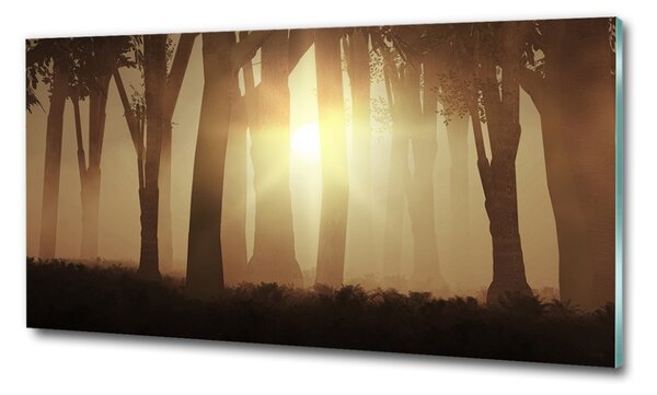Fotografie imprimată pe sticlă Ceață în pădure