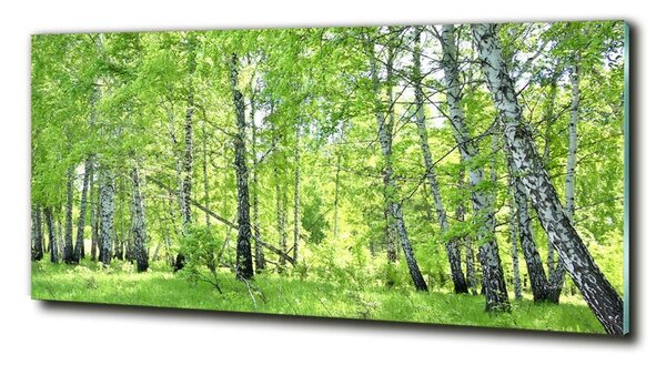 Tablou din Sticlă pădurea de mesteacăn