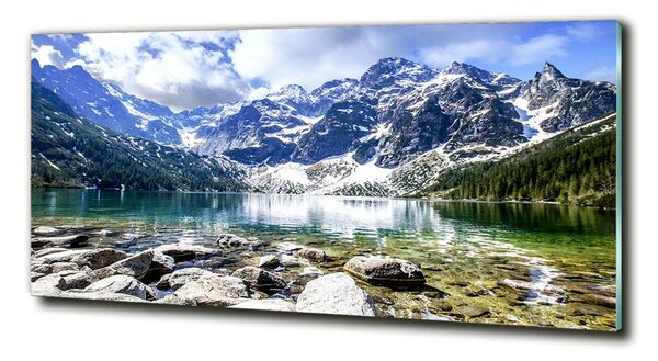 Tablou din Sticlă Marine ochi Tatry