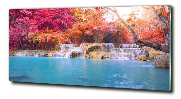 Tablou Printat Pe Sticlă Cascada din pădure