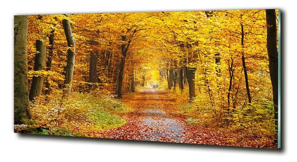 Tablou pe pe sticlă pădure în toamna