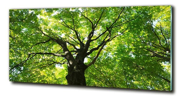 Tablou din Sticlă Pădure verde