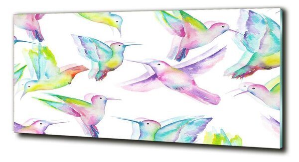 Fotografie imprimată pe sticlă colibri