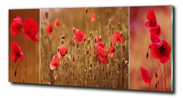 Tablou sticlă maci triptic
