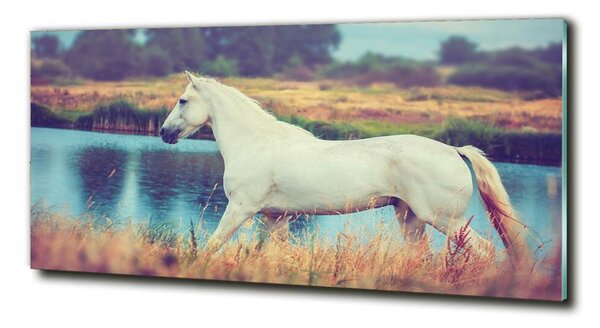 Imagine de sticlă White Lake Horse