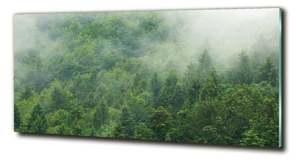 Fotografie imprimată pe sticlă pădure misterioasă