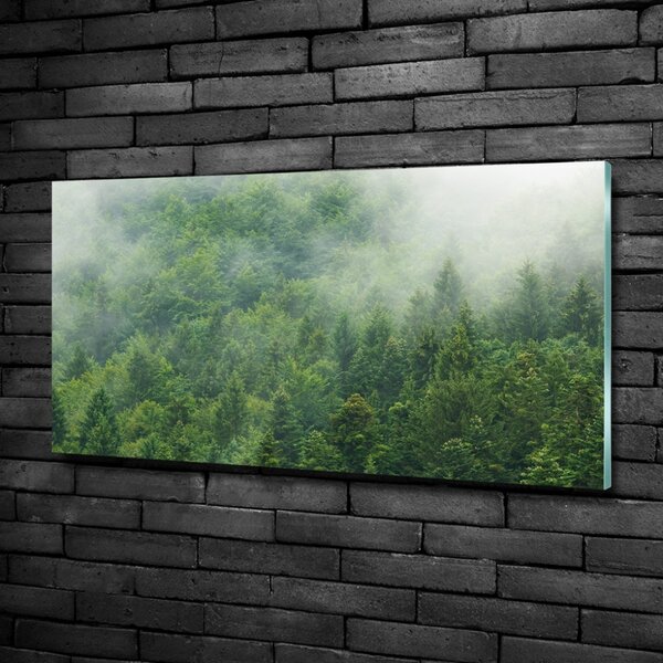 Fotografie imprimată pe sticlă pădure misterioasă