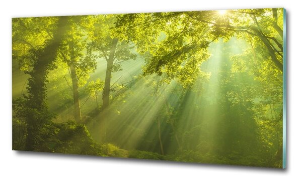 Tablou sticlă Pădurea în soare