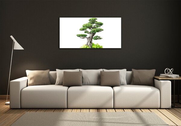 Tablou din Sticlă copac bonsai