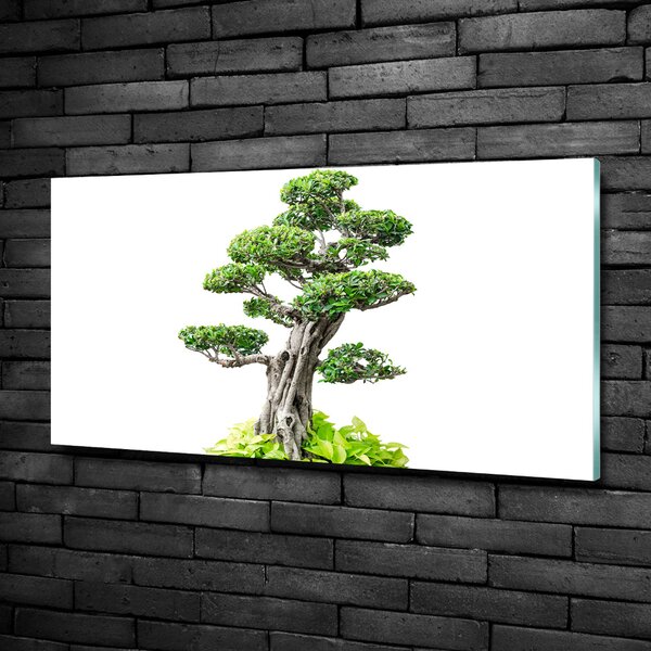 Tablou din Sticlă copac bonsai
