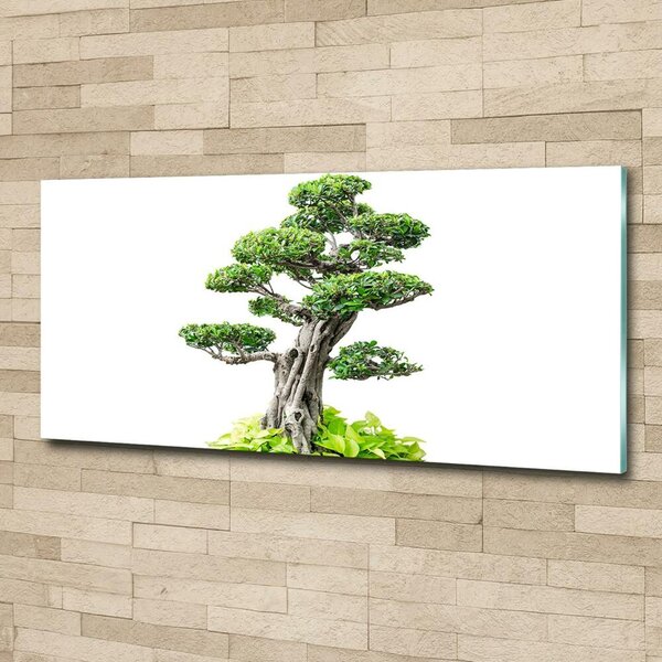 Tablou din Sticlă copac bonsai