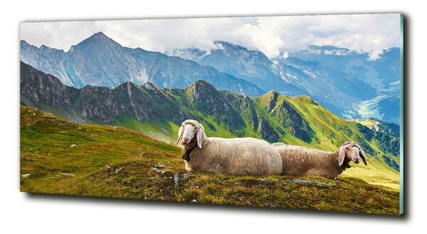 Tablou pe pe sticlă Oile în Alpi