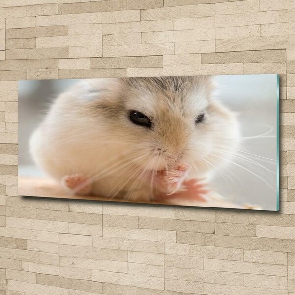 Tablou sticlă Hamster