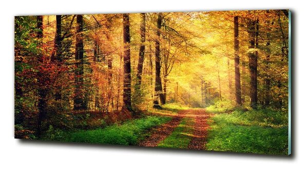 Tablou Printat Pe Sticlă pădure în toamna