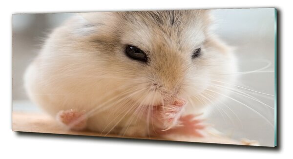 Tablou sticlă Hamster