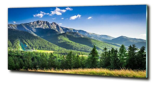 Tablou Printat Pe Sticlă Dealul din Tatra