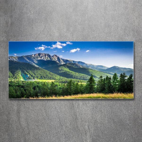 Tablou Printat Pe Sticlă Dealul din Tatra