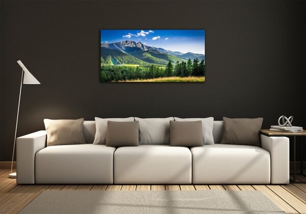 Tablou Printat Pe Sticlă Dealul din Tatra