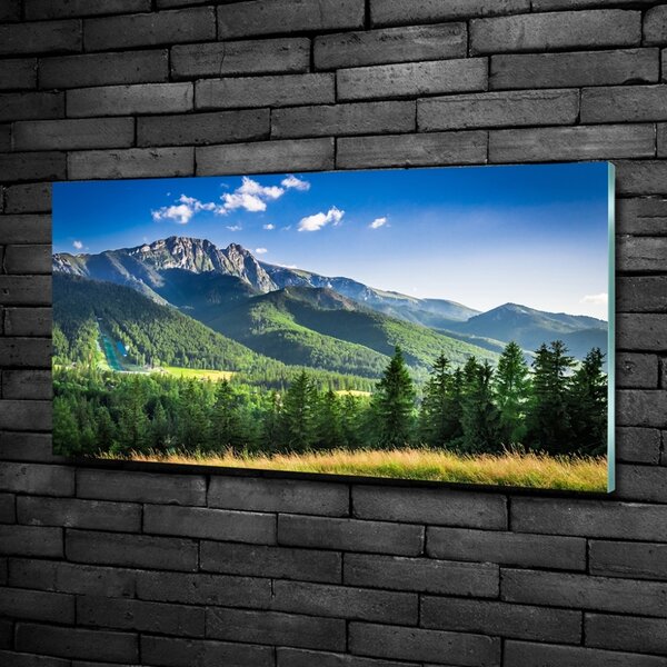 Tablou Printat Pe Sticlă Dealul din Tatra