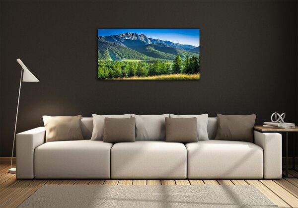 Tablou Printat Pe Sticlă Dealul din Tatra