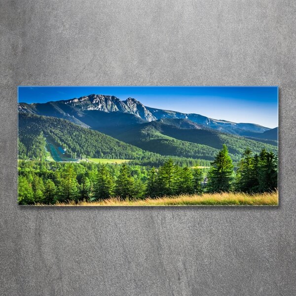 Tablou Printat Pe Sticlă Dealul din Tatra