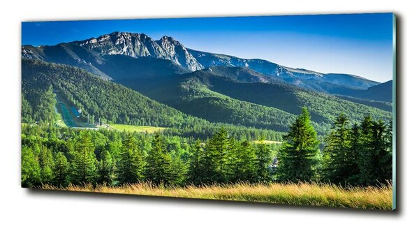 Tablou Printat Pe Sticlă Dealul din Tatra