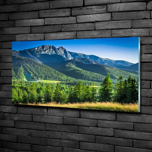 Tablou Printat Pe Sticlă Dealul din Tatra