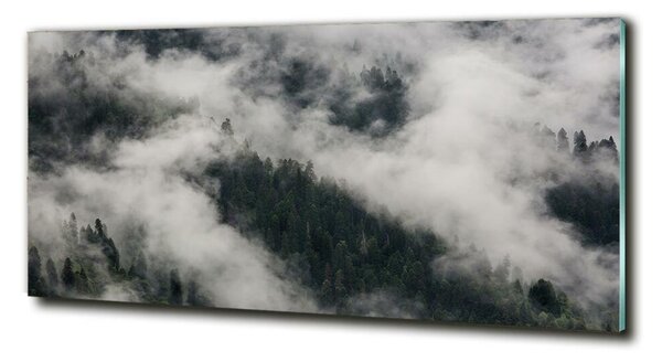 Fotografie imprimată pe sticlă Ceață peste pădure