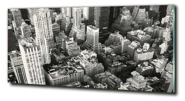 Tablou pe pe sticlă New York pasăre de zbor
