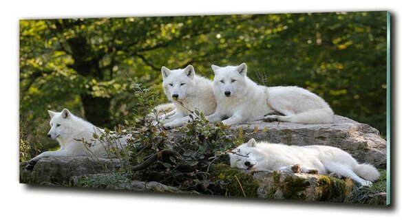 Tablou sticlă lupi White Rock