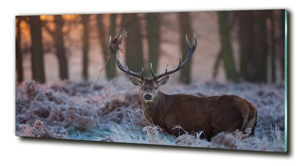 Tablou Printat Pe Sticlă Sunrise Deer