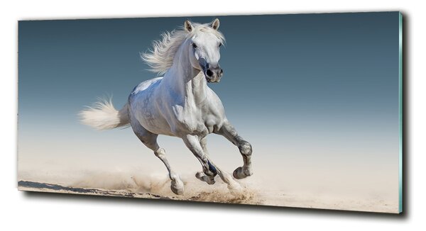 Tablou pe pe sticlă cal alb în galop