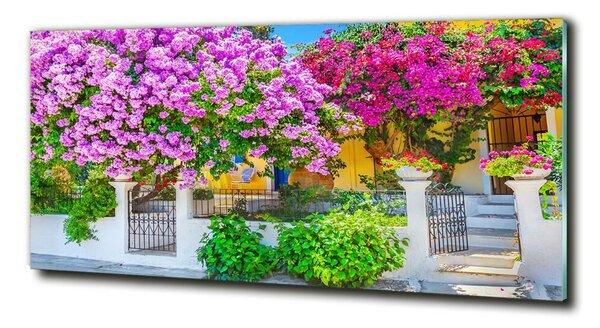 Fotografie imprimată pe sticlă Casa cu bougainvillea
