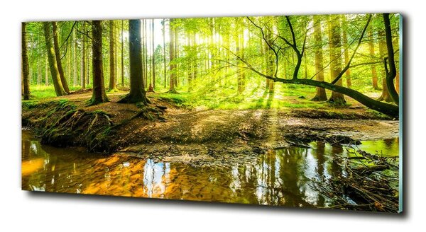 Fotografie imprimată pe sticlă Iazul în pădure