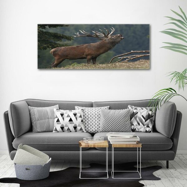 Tablou Printat Pe Sticlă Deer pe deal