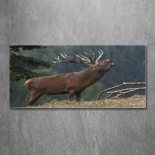 Tablou Printat Pe Sticlă Deer pe deal
