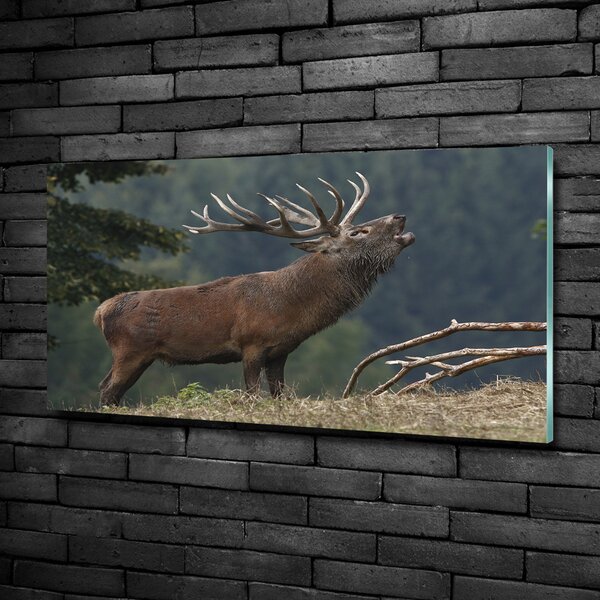 Tablou Printat Pe Sticlă Deer pe deal