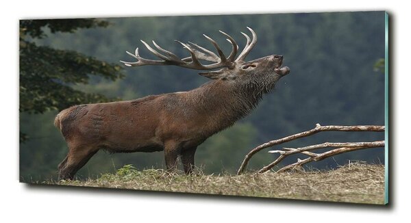 Tablou Printat Pe Sticlă Deer pe deal