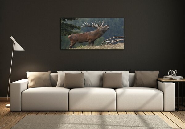Tablou Printat Pe Sticlă Deer pe deal