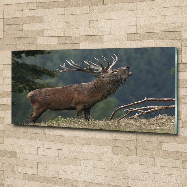Tablou Printat Pe Sticlă Deer pe deal