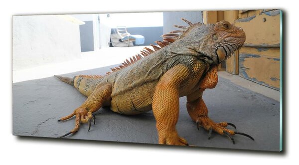 Tablou Printat Pe Sticlă Iguană