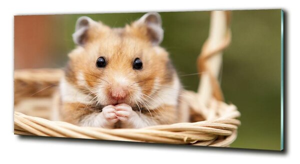 Tablou sticlă Hamster în coș