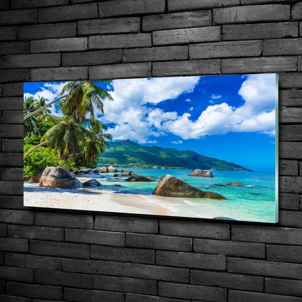 Tablou pe pe sticlă plaja Seychelles
