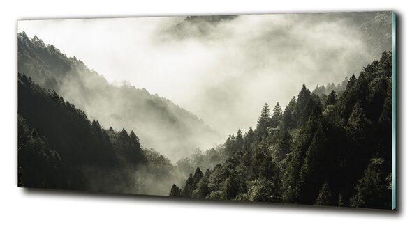 Fotografie imprimată pe sticlă Ceață peste pădure