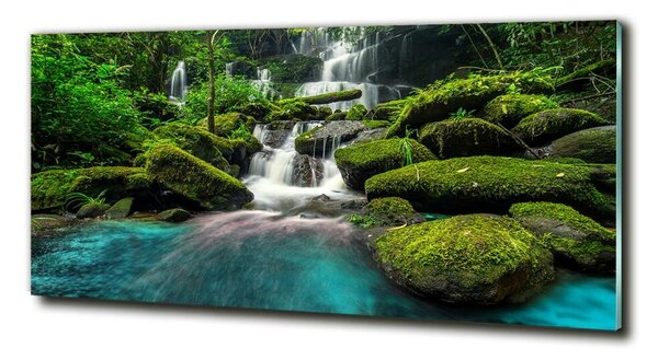 Imagine de sticlă Cascada din junglă